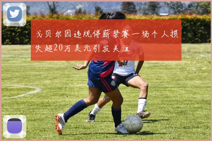 戈贝尔因违规停薪禁赛一场个人损失超20万美元引发关注